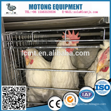 Vente chaude Poultry Egg Layer Poulet Cages aux Philippines